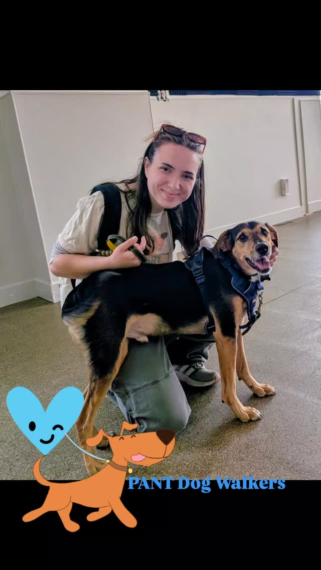 Dog walks and care by professional dog handlers is sending love to your pup! Serving the East Passyunk community for 8 years! Email contact@pantdogcenter.com to join our community 😊.
