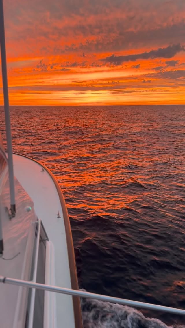 Out here⦠it all makes sense.
The long runs, the early mornings, the missed shots, the chaos, the glory.
That moment the ocean comes alive and a marlin lights up in the spread ā
this is what we live for.
Saltwater in our veins.
Euphoria in every bite.
If you know⦠you know.
Clips from our host @captainrickywheeler this past summer in New Jersey on his charter boat @euphoriasportfishing . Check out the CHARTER tab of our website for more Information and to book a trip with him.
#SaltwaterEuphoria #MarlinFishing #OffshoreLife #ChaseTheBite #EuphoriaSportfishing #lovetofish #livetofish #njfishing #biggamefishing