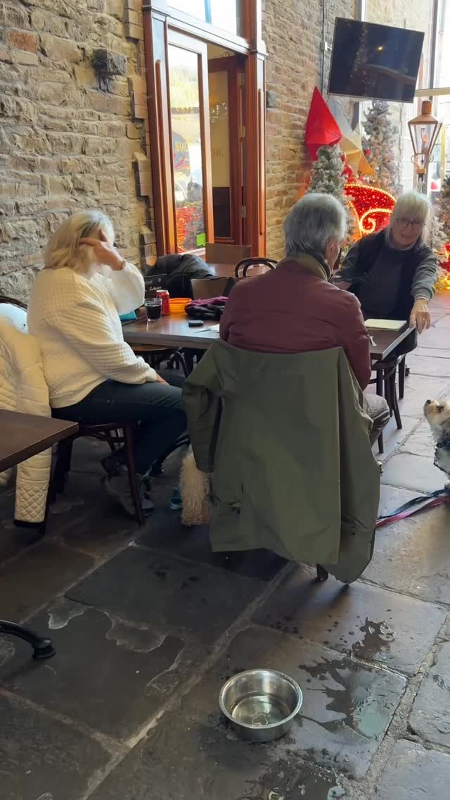 Look at those eyes! #chocolatehouse #dogslovers