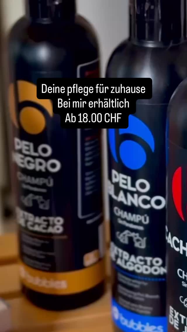 ##grooming #hundesalon #grooming_luzern #hundesalonluzern #pomeranian #grooming_luzern #schweiz