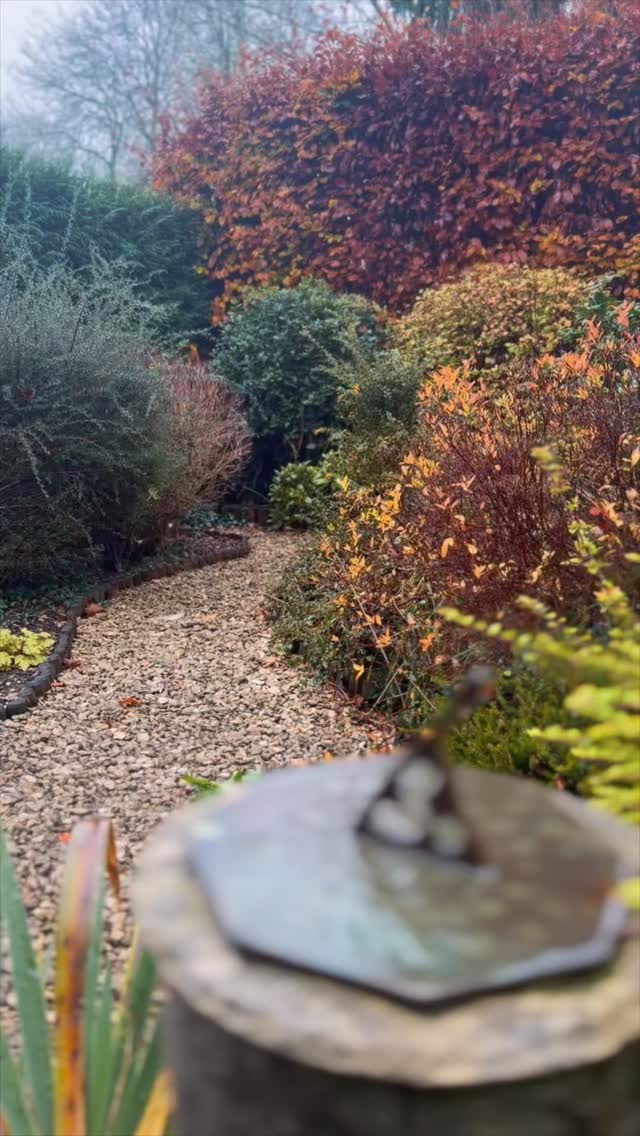 Another property transformation completed 🌿✨
This site was heavily overgrown with very tight access, a limited budget, and a strict 3-day turnaround — but our CCG Property Maintenance team, working alongside S. Brown Property Maintenance, delivered exactly what was needed.
✔️ Completed on time
✔️ Within budget
✔️ Site cleared, refreshed & ready for estate agent photography
✔️ Value added immediately
If your property needs preparing for sale, rental, or simply bringing back to life — get in touch.
Professional • Reliable • Cotswold Quality
📞 01451 601177 | 📲 WhatsApp 07985 298844
@cotswoldcleaninggroup | @s.brown_propertymaintenance 📞 07557 356434
#cotswoldcleaninggroup #cotswold #garden #cotswoldhomes #stowonthewold #moretoninmarsh #daylesford #gardenclearance #estate #estateagents