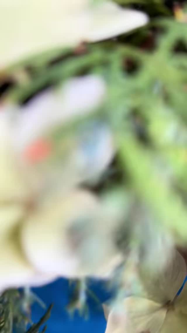 It’s almost timeeeee!🎄
I’ll be hosting my first workshop next Sunday at the Glen Ord Distillery in Muir of Ord - link in bio to book🥂
Pre-orders will also be opening soon for wreaths + Christmas bouquets too!💐
Almost everything on this wreath I made today is from our own garden! Feeling lucky to be back in the highlands and to have so much more space and a garden of greenery to choose from🤍
#christmaswreath #highlandflorist #invernessworkshop