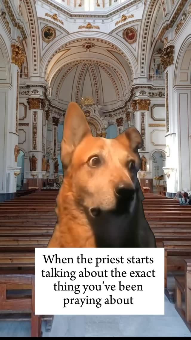 #catholicmemes #faithwithhumor #surrendertogod #trustingod #godsplan #faithoverfear #holyspirit #godisincontrol #surrendertogod #walkbyfaith #faithjourney #letgoletgod