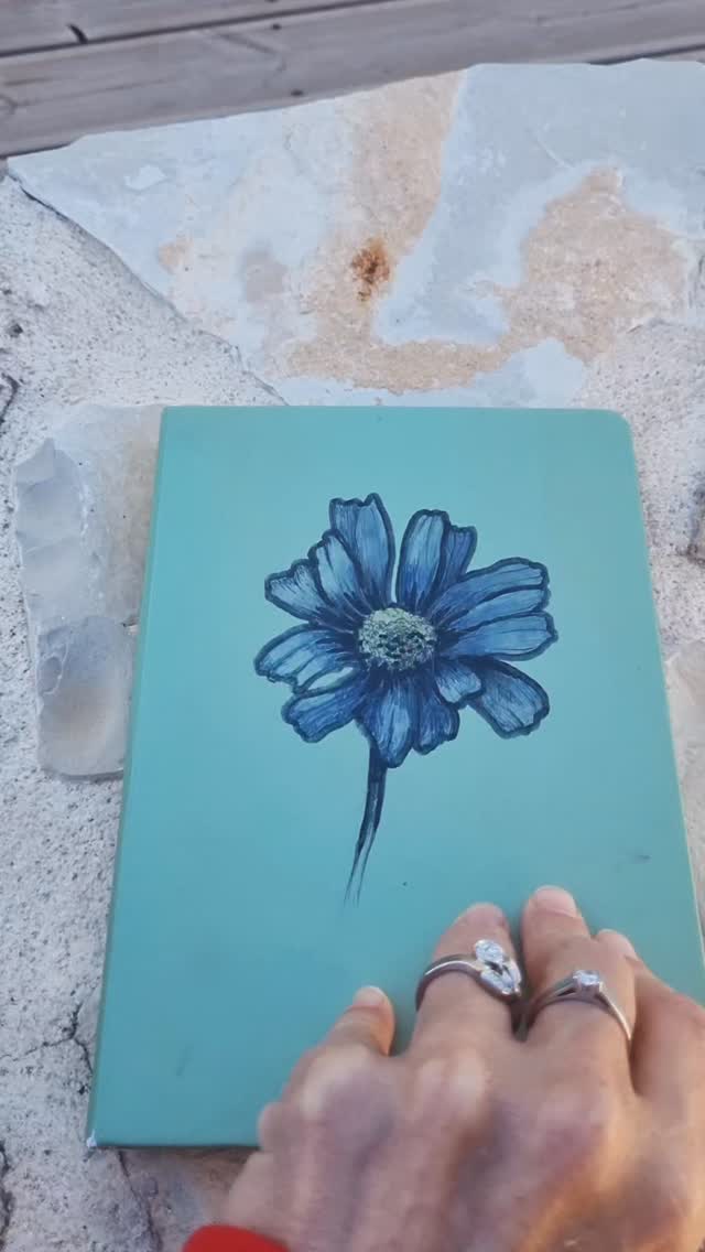 It has been an amazing year in Crete.Thank you to all the guests of the Blue Daisy House. We’re delighted that you loved your stay ⚘️
And enjoyed your Crete vacation 💙💙💙
See you next year!