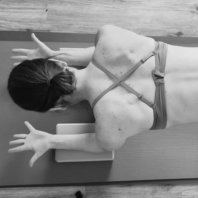 Weak upper back muscles cause the shoulders to round forward leading to slumped posture!
🩵
This move awakens these sleepy muscles.
Inhale, push forearms into block to spread across the upper back (protraction).
🩵
Exhale, squeeze shoulder blades together (retraction).
Turn on your core to keep the middle and lower back stable.
🩵
It's a great warm up for dolphin pose, inversions and...life!
#forrestyoga #shoulderstrength #upperback #yogateacher #yogakingstonny #yogahudsonvalley #yogacatskills