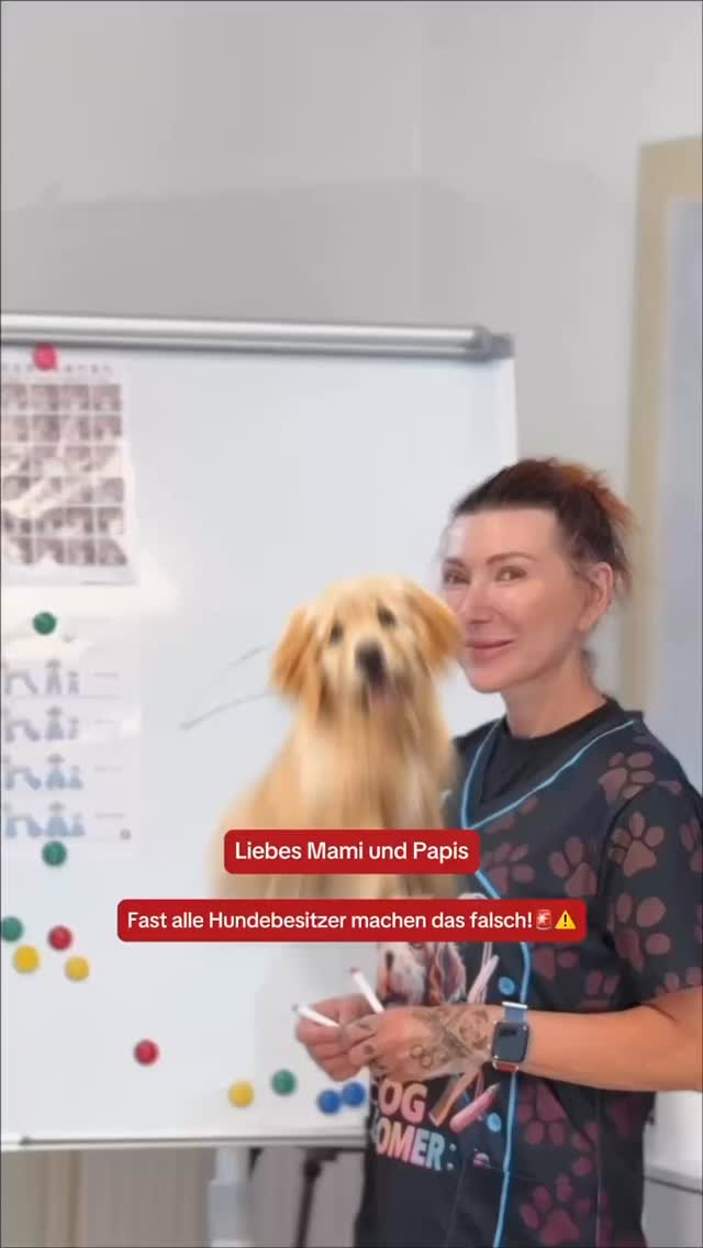 #grooming #hundenägel #hundenails #grooming_luzern #hundesalon #hundepflege