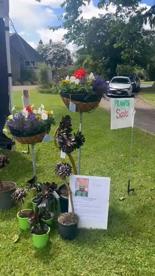 The Fabulous Art & Plants at Hilton Rd today (and over the weekend)
Rotorua Festival of Gardens November 14th 15th and 16th
Tickets available now from Palmers Rotorua
#rotoruafestivalofgardens #rotoruagardenfestival #nzgardens #rotoruaevents #nzgardener #Rotorua