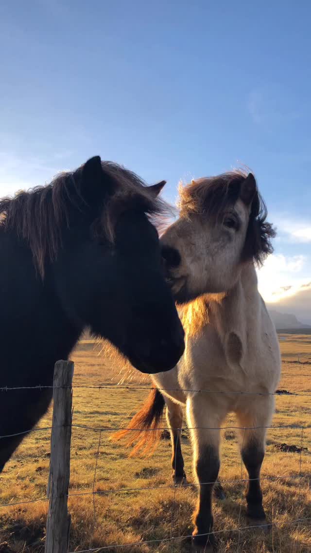Dreamland ❤️🔥 🇮🇸
#iceland #icelandtrip
