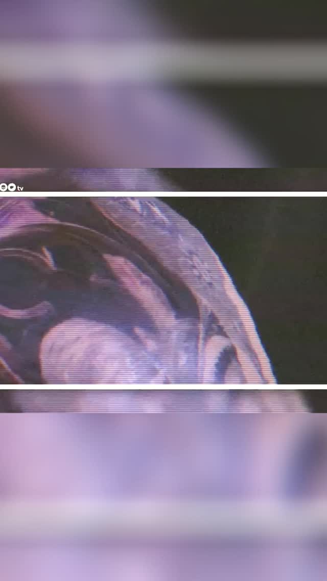 🎙️ Robert Tufeanu – Guest Artist 2019 @ tat-too.tv
În tatuaje, ca și în viață, nu poți să fii liniștit dacă încerci să fii altcineva.
Nu poți să creezi ca un alt artist. Nu poți să te miști, să gândești, să simți ca el.
Și nici nu trebuie.
Dacă stai și privești obsesiv la alții, încercând să le copiezi stilul, îți faci mai mult rău decât bine.
Te rătăcești. Îți pierzi identitatea. Îți pierzi vocea artistică.
Pentru că adevărul e simplu:
👉 Ascultă de toți, învață de la toți… dar nu lucra ca niciunul.
Așa găsești liniștea. Așa îți găsești stilul. Așa devii artist.
📺 Vezi interviul complet cu Robert Tufeanu în Emisiunea Guest Artist 2019 – doar pe tat-too.tv