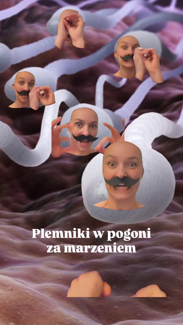 😏 Dokładnie tak „myślą” plemniki, kiedy wychwytują chemiczne sygnały komórki jajowej.
Dzięki chemotaksji mają swój własny biologiczny GPS, a do tego potrafią pędzić nawet do 6 mm na minutę. 🔥
💪🏼 Determinacja level master! 💪🏼
Z pętli tramwajowej Klecina Wrocław do Bertha Holistic dotarłyby tylko w 5 miesięcy! 😲🤪😆😏
👉 Który z tych faktów najbardziej Cię zaskakuje? A może znasz ciekawostkę o plemnikach, której tu jeszcze nie ma?
Zaopiekuj się sobą w Bertha Holistic. 🌸