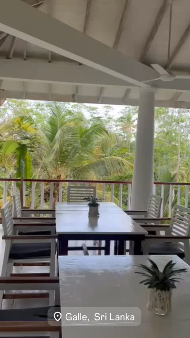 Green therapy 🧚 🍃 #magicplace #spiritofnature #travel #boutiquehotel #srilankatravel #peaceful #happiness #peace #jungle #wonderlust