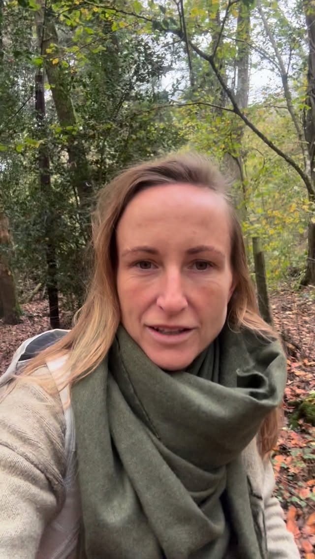 I haven’t posted for a while…mainly because I have been focusing on recovery and having to attend a load of hospital follow ups BUT also because I have been working on getting some help for Jimmy(my pony) it must not be forgotten that he has also been through a trauma and he needs help to get over it❤️🩹 I will be documenting his journey and progression over the coming weeks🐴
#horseridingaccident #newforestnationalpark #recoveryfrominjury #rehab #rehabilitation #recoveryjourney #equestrian #equestrainlife #horserehabilitation #horserehabilitation #walking #mentalhealth #mentalhealthmatters #trauma