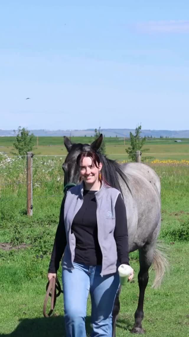 Your horse’s body tells the story of every ride, every turn, every try.
•
Bodywork helps release tension, restore balance, and bring comfort with movement so they can perform and feel their best.
•
Appointments available for winter (Booking into December), get then before their gone!!