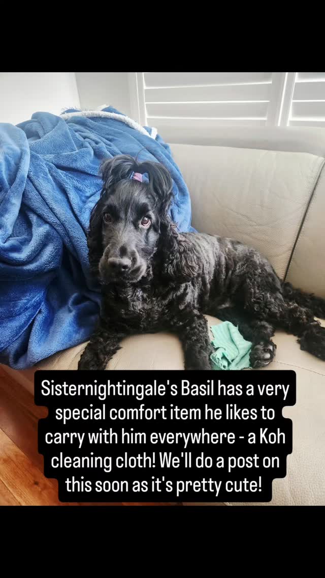 We do love our comfort items here at Sisternightingale (tv shows, blankets etc.) and our Director of Happiness Mr Basil has a very special comfort toy - more to come on this soon!