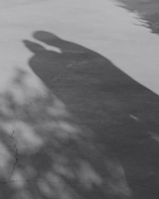 Twirling towards the end of the week until we're dizzy ~
video | @andorinhafilms
photo | @luminous
wedding planner | @erinmarieweddings
venue | L’AND vineyards @landvineyards
makeup | @b_lust_hair_makeup