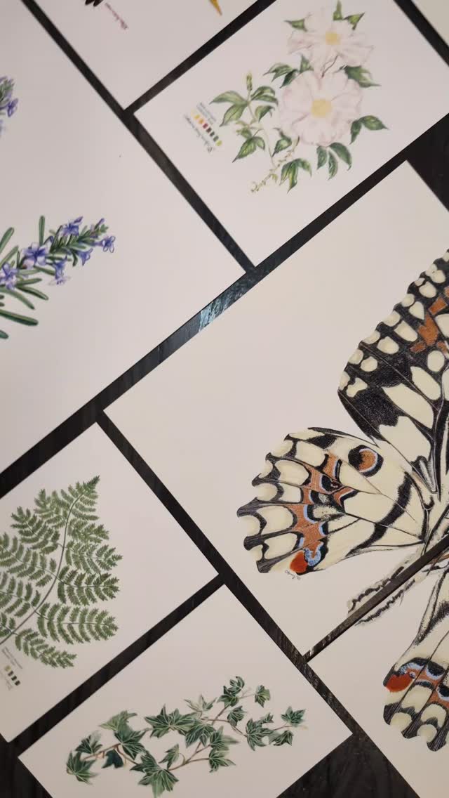 Give the gift of fine art prints this Christmas! Shop prints on my website using the link in bio (or go to cbwdesignllc.com). 3 sizes are readily available for each style (while supplies last). Custom size orders are available but may not be ready by Christmas. Local pickup and shipping available. Order online or message me!