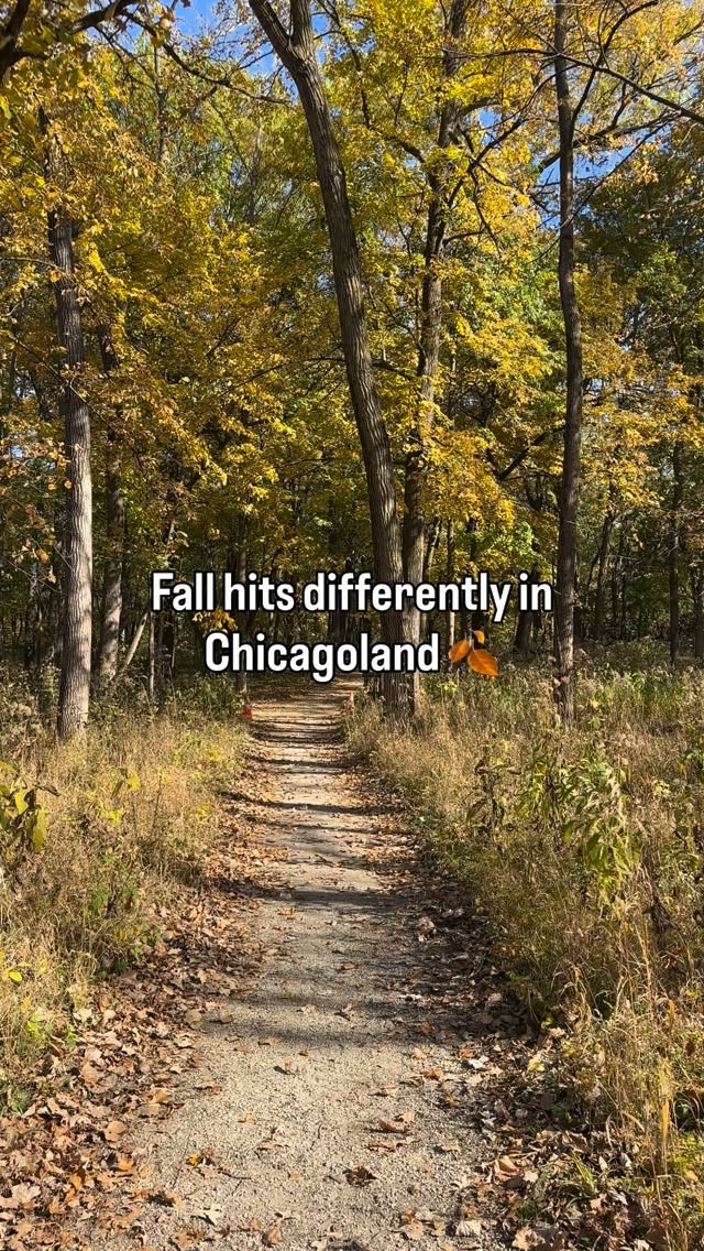 📍 Walks at the Grove @thegroveglenview or Morton Arboretum @mortonarb where the leaves crunch just right
☕ Coffee at Coco & Blu @cocoandblucafe in Arlington Heights or Brewpoint @brewpointcoffee in Elmhurst
🎁 Gift hunting at the Book Stall @the_book_stall in Winnetka or Lena Rose @lenarose_naperville in Naperville for their handmade body butter and scrubs
There’s something about crisp air, golden trees, and supporting local that just feels like home.
What’s your favorite fall spot? 🧡
Best fall activities Chicagoland | Things to do fall Chicago suburbs | Arlington Heights coffee shops | Elmhurst cafes | Morton Arboretum fall | The Grove Glenview | Fall nature walks Illinois