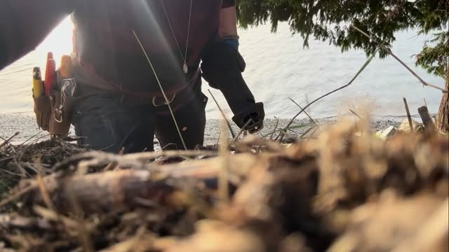 It’s about a 40° slope. Very fun task—removing blackberry, vinca and ivy while maintaining a colony of snowberry. I’ve put down erosion prevention coco coir mats and installing a lovely mix of native plants (flowering current, salal, sword fern, more snowberry, cute native strawberries and a special little patch of rattlesnake orchid in a spot they can be truly loved and appreciated).
Also: SAWZALL
