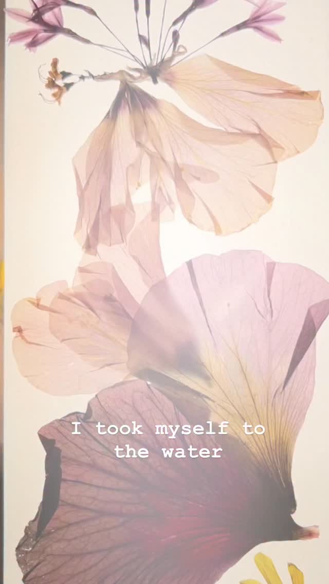 Pressing flowers.. for beauty’s sake 🌸
