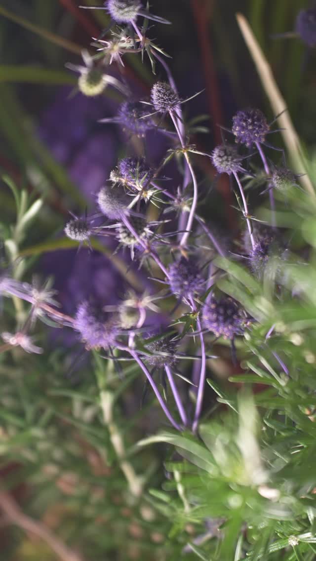 Es war einfach nur schön bei @deuxfreres.taste mit @rausch_official zum Launch des neuen Herrenprodukts Energy-Boost-Shampoo mit Wacholder (4-in-1 und ein praktisches Weihnachtsgeschenk übrigens).
Ein herzliches Dankeschön an Esther Widmer, Sophia Hermann sowie Florian und Anna von der Deux Frères GmbH für die reibungslose Zusammenarbeit. Es war wirklich ultra entspannt wieder im Vorfeld. Sandra Banholzer, CEO und Birgit Schäfer, CMO sind inspirierende Führungspersönlichkeiten, die mit Charme, Eloquenz und Intelligenz das Unternehmen auf moderne Weise prägen und dabei stets nahbar und sympathisch bleiben. Sie sind wahre Vorbilder.
Und die Gästeschar! Interessiert und wohlwollend. Danke euch allen fürs Dabeisein. No event without guests.
#drinkresponsibly🍹🍸 und jaaaa, es gab auch alkoholfreie Getränke! 👍🏻✨
Event orga and guest management: @ouiecomm
Content team: @calliope.kar
Event support OUÏ-E Communications : @linda.belkahla und @velopudel
Catering: @deuxfreres.taste
Blumen: @florallokal
🍩: @kleinerdickerjunge_sh