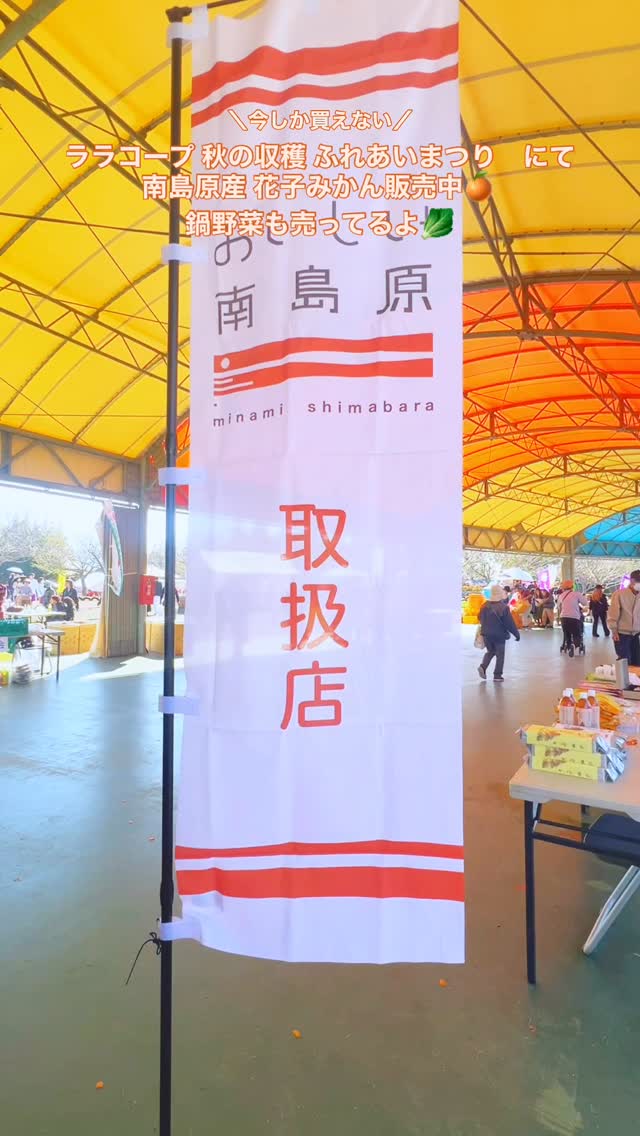 #長有研 #南島原市 #農薬不使用 #ララコープ秋の収穫ふれあいまつり #花子みかん #白菜 #大根 #人参