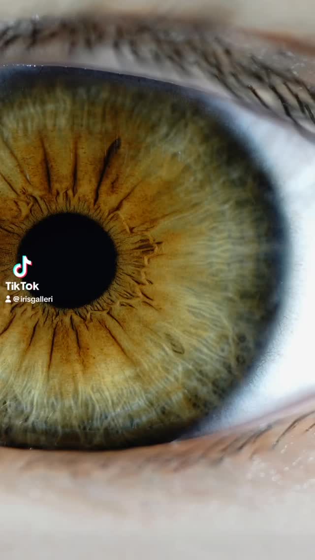 #irisgalleri #eyephotography #irisphotography #macroeye #irisart #eyecloseup #eyemacro #uniqueeyes #eyeartwork #irisportrait #norskfotograf