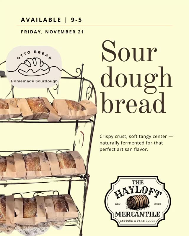 The stars have aligned and we will now have FRESH BAKED sour dough from Otto Bread available Fridays, starting TOMORROW!
First come, first serve!
We sold out quickly at our open house
Want fresh sour dough for Thanksgiving, order online at www.hayloftmercantile.com through the Farm Goods link to reserve your loaf!
#hayloftmercantile #moreat104 #fblifestyle #northdakota #shoplocal #sourdough #farmgoods