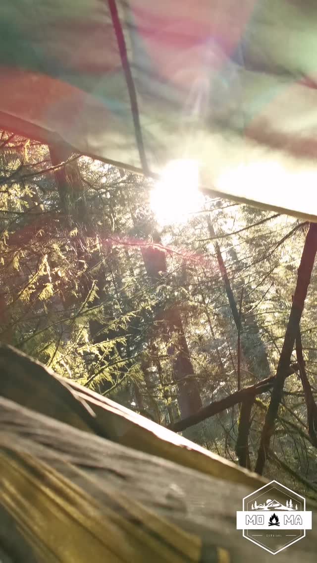 Ahoi Bushcrafter und Co.!🌳🌲
________________________________________
Das sind ein paar Einblicke wie wir die Ausrüstung testen die bei MoMa Survival angeboten werden und was wir alles dabei Erleben.
________________________________________
Mit dem Code BLACKFRIDAY spart ihr satte 20% auf euren gesamten Einkauf bei www.moma-survival.de
Der Code ist ab sofort und bis zum 28.11.2025, 23.59 Uhr einlösbar!
________________________________________
ZUSÄTZLICH gibt es zu jeder Bestellung 1 kleine Überraschung dazu!
________________________________________
www.moma-survival.de
________________________________________
#MoMaSurvival #bushcraft #Survival #Outdoor #Forest #camping #prepper #messer #Knife #Nature #hiking #wandern #draußen #gear #miltec #machete #black #friday #blackfriday #sale #rabatt #sparen #ausrüstung #tactical