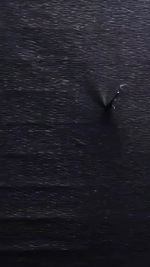 BLACK FRIDAY IS FINALY HERE! 🖤✨
The wait is over — it’s time to learn, grow, and evolve.
For the next 24 hours, you can grab ANY of my online workshops for 50% OFF using the code BF25 in my webshop.
BLACK FRIDAY IS FINALLY HERE! 🖤✨
The wait is over — it’s time to learn, grow, and evolve.
For the next 24 hours, you can grab ANY of my online workshops for 50% OFF using the code BF25 in my webshop.
Don’t think twice — the discounts drop day by day, so the sooner you jump in, the more you save:
🖤 First 24 hours: 50% OFF — Code: BF25
🖤 Next 2 days: 40% OFF — Code: BF25
🖤 Following 5 days: 30% OFF — Code: BF25
The discounts stay active according to the timeline above — same code!
Whether you want to elevate your maternity photography, master studio lighting, perfect posing, or refine your workflow — this is your moment.
Treat yourself. Invest in your art.
Step into the new year with new knowledge, new skills, and new confidence.
Ready, set… BLACK FRIDAY! 🖤🔥
Use code: BF25
www.veronikamarques.com/workshops
#maternityphotoshoot #maternityphotographer #photographyeducation