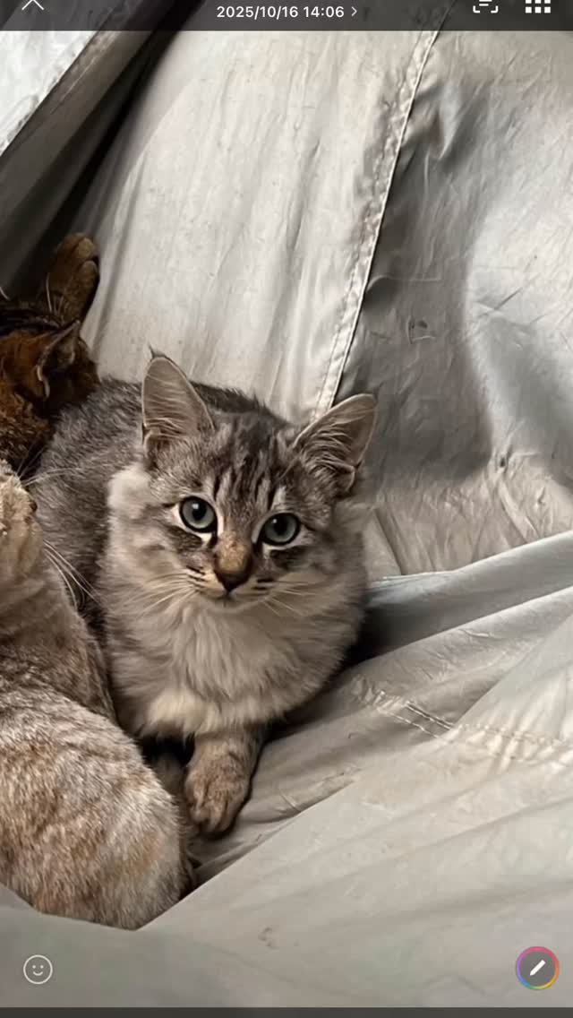 遺品整理、故人の残された荷物を整理片付け。たまに切なくなります。#遺品整理弘光 #レインボーハス園 #生前整理