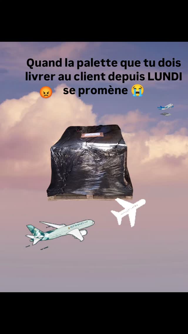 Quand tu dois livrer ta palette le lundi en France, et qu'elle se balade en France et en Europe, c'est le stress absolu !
(Oui je sais Rémy 🤪 😜)
Je crois que la prochaine fois je livre Moi même.
Svp @dhl_global la perdait pas ! 🙏
#chirurgien #iade #dentaire #livraison#ide #nurse