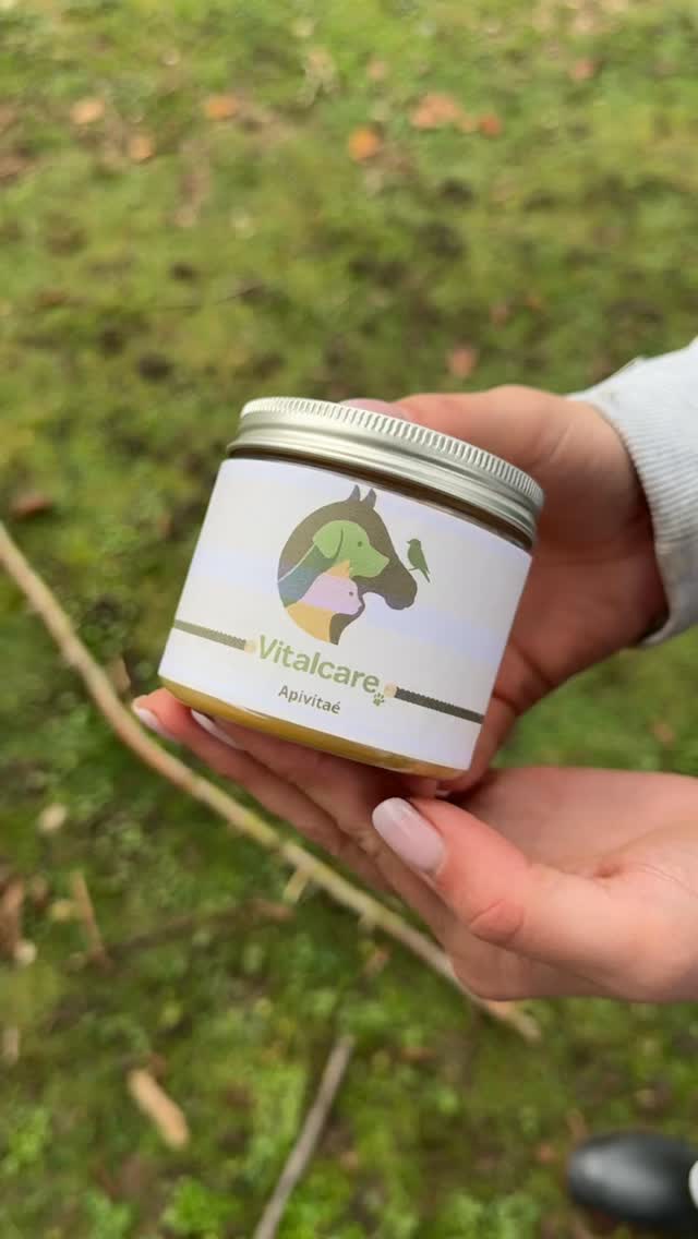 Apivitaé en action ✨
Un baume naturel polyvalent qui nourrit, protège et favorise la réparation des zones sensibles : peau, sabots, fourchettes, coussinets, truffe et oreilles 🐴🐶🐱
Enrichi en miel antibactérien, calendula apaisant, cire d’abeille protectrice et huiles végétales, sa formule sans conservateur forme un film doux qui limite la prolifération bactérienne, calme les inflammations (même les petites dermites) et accélère la cicatrisation des crevasses et petites plaies 🌿
Une texture qui fond instantanément, pénètre vite, ne colle pas… et offre un confort durable à tous vos animaux 💛
Démonstration en images 🐾
#Vitalecare #Apivitae #soinnaturelanimaux #coussinet #sabot #soinsanimaux #madeinfrance #soinmagique #sosbobo