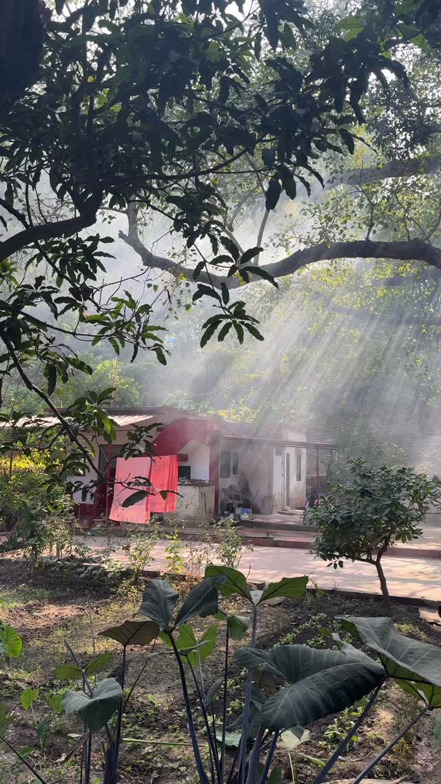 I just loved this atmospheric garden scene near the Ganges in Rishikesh. I posted it in a story but wanted to keep a record here of such a beautiful moment.