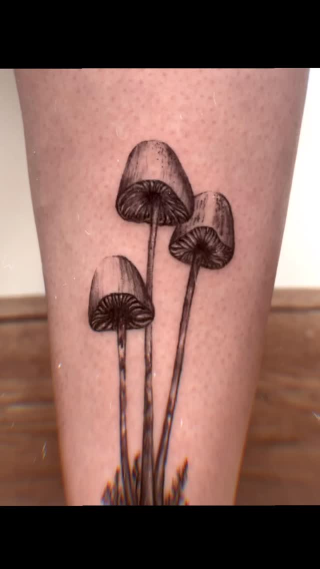 Un tatouage de champignons comme symbole d’enracinement. 🍄🟫
Merci pour ce magnifique moment, toi qui sais qui tu es.
#tattoo #tattoomontreal #tattoos