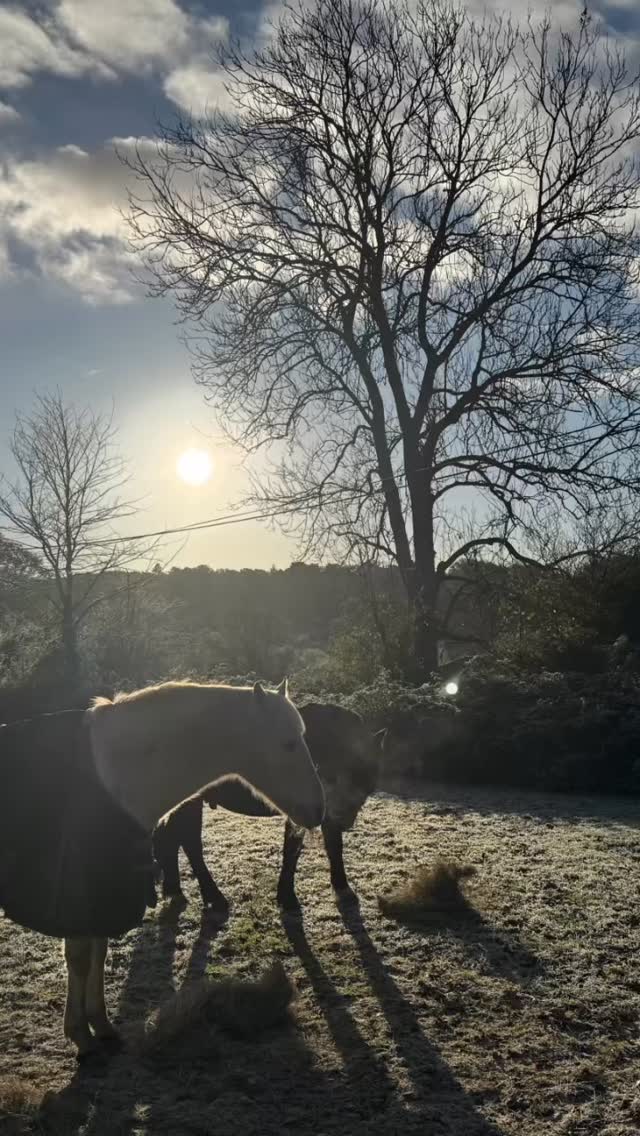 Yesterday I saw my surgeon who operated on me nearly 6 weeks ago, he was pleased with how I am healing ❤️🩹 but I came away feeling disappointed and sad…..he told me that until 3-6months recovery I must not do any weights, core work or even think about trying to run or ride! All the things I love to do feel like they are even more out of reach…I’m coming to realise this is going to be a long and damn tough journey for me! #recovery #horseridingaccident