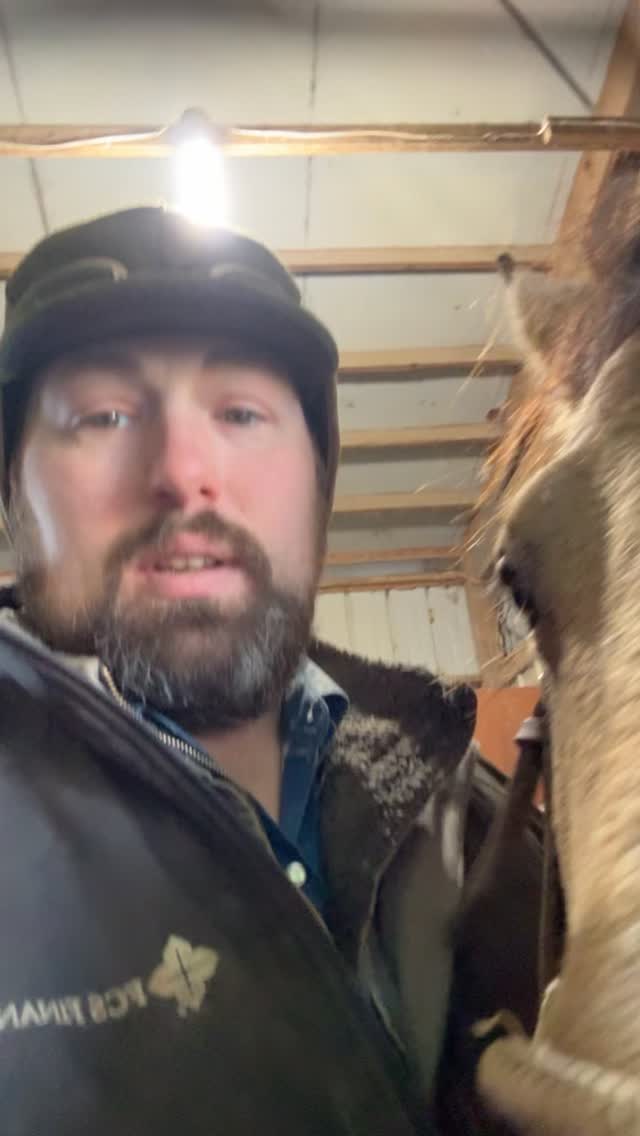 Don’t worry, we got all the cows back in…
#loghrycattleco #cattleranch #tallowbalm #ranchlife #beeftallow #ranchhorses #cattle #beef