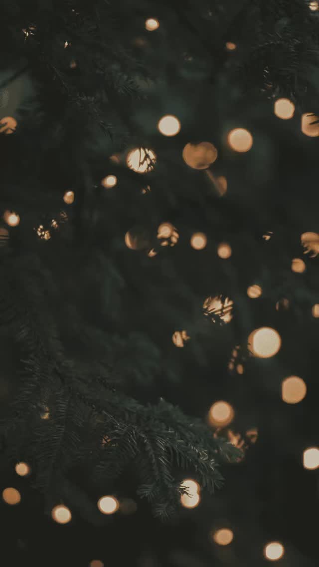 🎄✨ 12 DAYS OF CHRISTMAS GIVEAWAY WORTH MORE THAN $6000 ✨🎄
I’ve teamed up with a group of amazing local businesses to bring you an EXTRA festive holiday giveaway with 12 incredible prizes! 🎁
TO ENTER:
👉 Head to @EyelusionStudios and follow the instructions on Eyelusion’s giveaway post
(Entries must be made on their post, comments are turned off here)
GIVEAWAY DETAILS:
Day 1. @SaltAirNordic – 2 Spa Passes ($171)
Day 2. @CalledtoParty – 6ft Balloon garland/ credit ($150)
Day 3. @TheBrookieJarr – 9 pack of cookies ($45)
Day 4. @Eyelusionstudios – Keratin Lash Infusion ($140)
Day 5. @TattoosbyNelle – 1hr tattoo session ($207)
Day 6. @CourtInks – Lashline Enhancement ($500)
Day 7. @Bare.Sunless – Tans for 2 & Travel Minis ($180)
Day 8. @hairby.oj & @theInterludespa – Mani, Pedi, Blowout + Facial ($320)
Day 9. @SezBrows - Ombre / Combo Brows ($395) + @halifaxhomegirl $100 Home gift basket
Day 10. @AbbyMunroePhotography – 1hr Session ($400)
Day 11. @TheGlowLabHfx - $500 Gift card + @Leveluplashlounge - Teeth Whitening ($220)
Day 12. GRAND PRIZE
@GraceMcCluskey - personal coaching ($2500)
@EyelusionStudios - Custom lash set ($200)
@BurningFlameCandleCo - Gift box ($100)
@lovelyroseandtimber - $300 gift card to Fae-Wing Bookends
✨ Giveaway begins December 13
✨ A new prize + winner announced daily for 12 days
✨ No purchase necessary