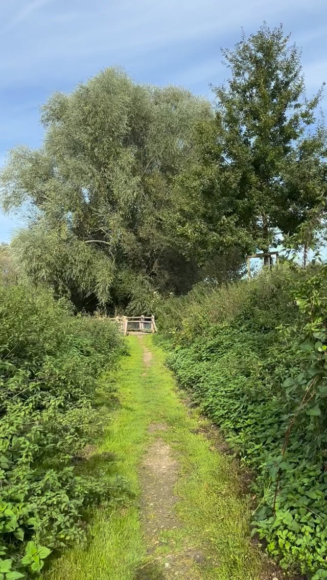 Suivez-moi au fil des eaux miroitantes et des sentiers humides du Marais des Cavins, à Bourdon. Là où le souvenir des tourbières et de la petite héroïne du roman En famille d’Hector Malot se rencontrent. Un lieu à découvrir sur mon blog : www.lasomme.blog, rubrique balades /nature/Marais des Cavins. #picardie #somme #lasommemonamour #JeanPaulGrumetz #hectotmalot