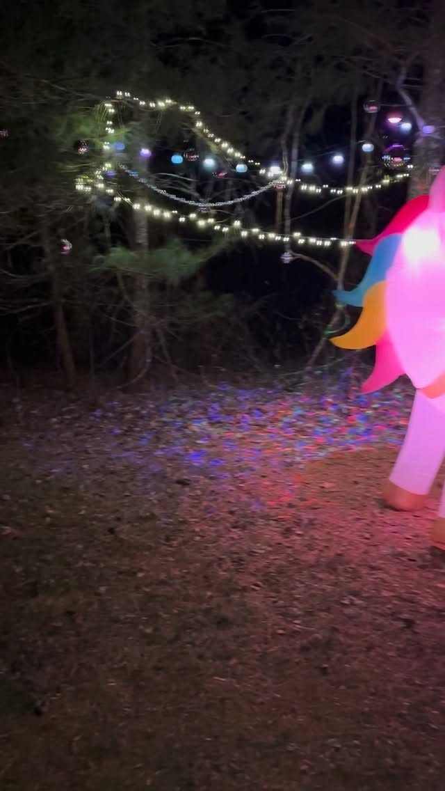 Anyone else interested in dancing with their dog at a Unicorn Disco? Stay tuned for other pawliday fun🐾✨🪩
#dogsofasheville #dog #dogfriendly #pawlidays #travelwithdogs #asheville #gertonnc