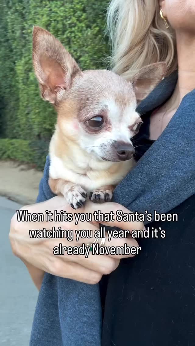 @teacupcoconut 😆
#Dogarooo #DogConvention #pasadenadogs #DogParents #DogsOfInstagram #amazonpets #amazondogs #convention #conventions #rescuedogsofinstagram #dogevent #dogreels #doginfluencer #doginfluencers #doginfluencersofinstagram #dogtoysofinstagram #petexpo #funnydogvideos #dogtraining #dogtrainers #funnydog #losangelesdogs #cutedog #doginfluencersofinstagram #funnydogreels #funnydog #funnydog #dogmeme #dogs #funnydogmemes #chihuahuas #seniordog #seniordogs