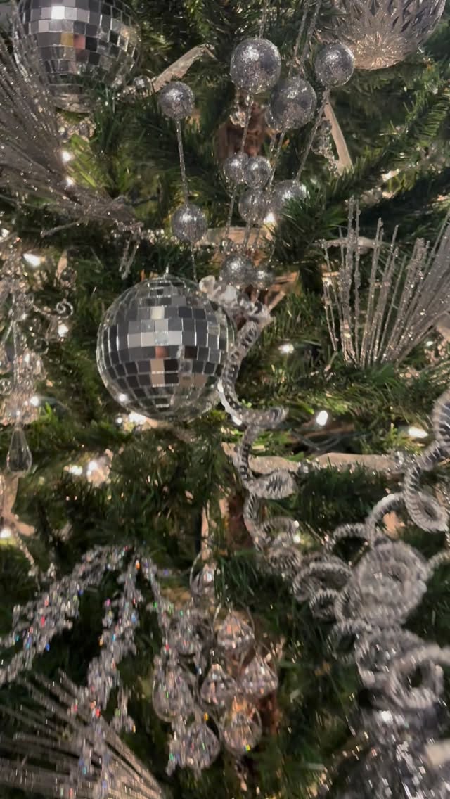 Just disco and chill, friends! 🪩❄️
Peep this 👀…ONE of our 6 stations to level up your season’s greetings at Spare Room Studios!
Our disco ball tree is all blinged out and ready to make you and your crew look fabulous! Come see us at our picture day pop up November 28-30.
$10 per person (limit 6 people per group) buys you 10 minutes at each station. Bring a friend, your phone, a camera, tripod or selfie stick and take your own photos, videos, and create all the content you can, for one full hour, to share with family and friends. Click the link below ⬇️ to grab your tickets now! #pictureday #holidaypopup #selfiestagram #selfiequeen #lemmetakeaselfie
https://www.eventbrite.com/e/holiday-pop-up-picture-day-november-28-30-2025-tickets-1875087650639?aff=oddtdtcreator