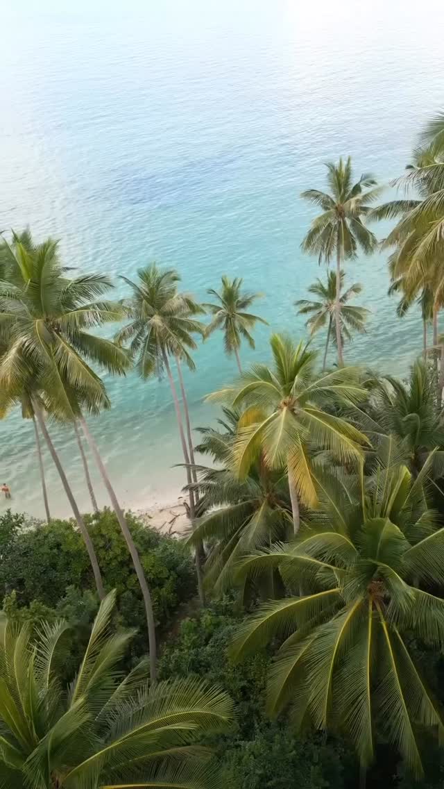Our kind of Monday blues ✨
Island moments captured beautifully by @awonderseeker
#limesamui #thailand #thailandtravel #thailandtrip #thailand🇹🇭 #kohsamui #kohsamuiisland #rediscoversamui #travel #kohsamuivilla