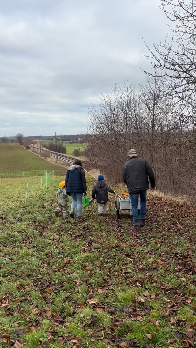 🌳Baumpflanz-Challenge 2025 - Mission erfüllt!
Vielen Dank an @elektro.hannss für die Nominierung… wir hoffen unser Baum wächst genauso zuverlässig wie eure Elektroinstallationen 🔌🌱
Jetzt geben wir den Staffelstab weiter an
@serviceteamdoebeln
@haustechnik_litzke
Ihr seid dran - viel Spaß beim Buddeln 🌳