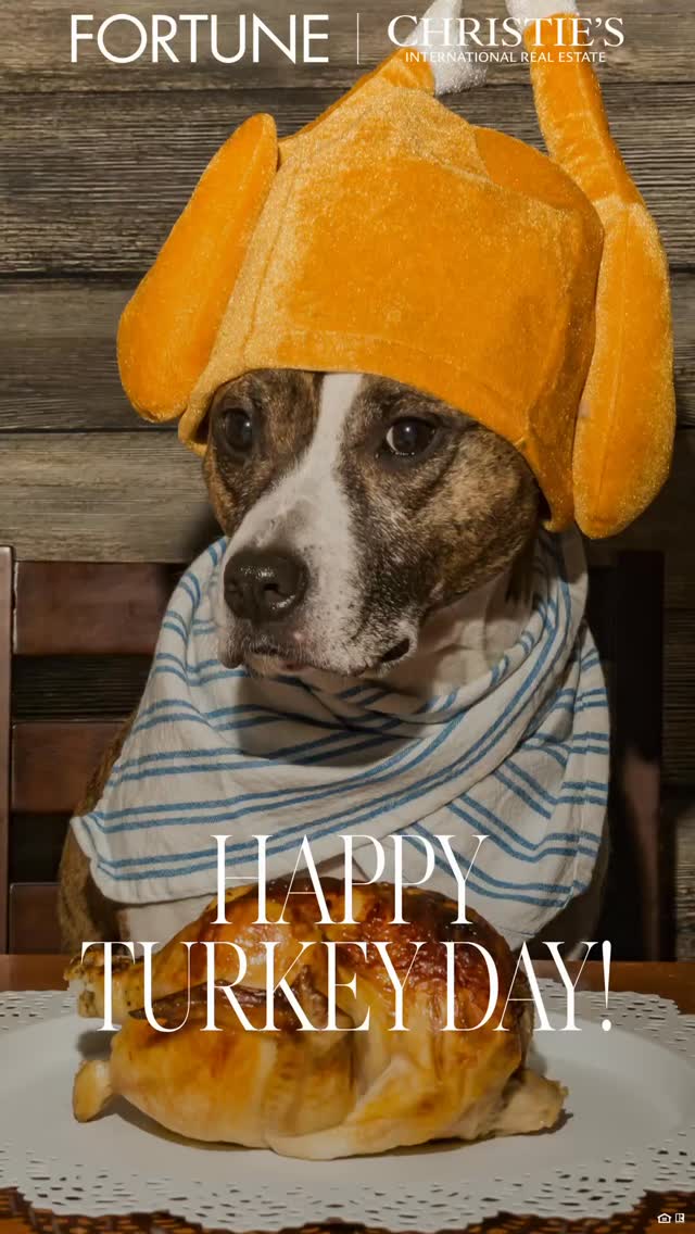 ✨ Warm Thanksgiving Wishes from the Heart
As we gather to reflect on the blessings in our lives, I want to take a moment to express my heartfelt gratitude to all of you—friends, family, and valued connections alike. Your support, trust, and presence make a meaningful difference, and I’m truly thankful for each of you.
May your Thanksgiving be filled with laughter, warmth, and cherished moments with loved ones.
Here’s to gratitude, joy, and the special connections that enrich our lives every day.
Wishing you a beautiful and memorable holiday,
Marisol Rocha
@marisolrochahomes
#MarisolRochaHomes #thanksgiving #thankful #turkey #family #doglovers #artist #dogs #dogsofinstagram #entrepreneurship #newyorker #miami #sunnyisles #brickell #doral #florida