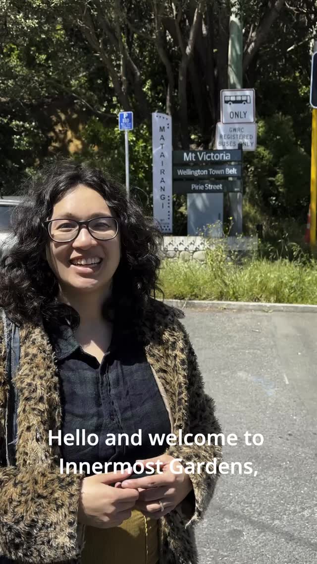 The Zan, the Jayer and Tolvil know very well how to find Farrago Bazaar, but before you travel 400 years into the future, you might need some directions!
This Saturday ahead of your showtime of 2pm or 7pm, you’ll head right up to the bus tunnel at the top of Pirie St, Mt Victoria and take a left into the Victoria Bowling Club car park. Innermost Gardens is behind the bowling club.
Here’s Farrago’s creator Cassandra Tse to show you the way 🚶🏽🚶🏼♀️🚶🏻🚶🏻♀️🚶🏽♂️
Farrago Bazaar
Innermost Gardens
Saturday 22 November, 2pm (SOLD OUT) and 7pm
Ticket link in bio