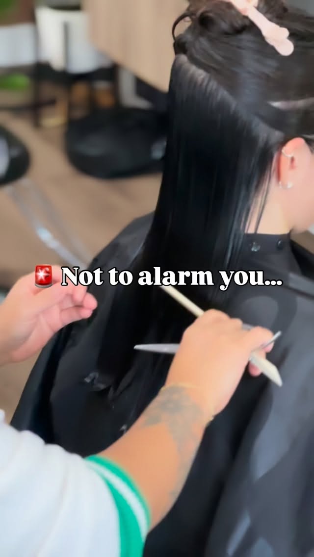 It’s time to secure those ✨holiday hair✨ appointments! 🎄
.
.
.
.
.
#artehairstudio #bellevuehair #arte #bellevuesalon #bellevuehairsalon #rentonwa #rentonhairstylist #modernsalon #bellevuehairstylist #bellevuewa #salonreels #salonhair #holidayhair