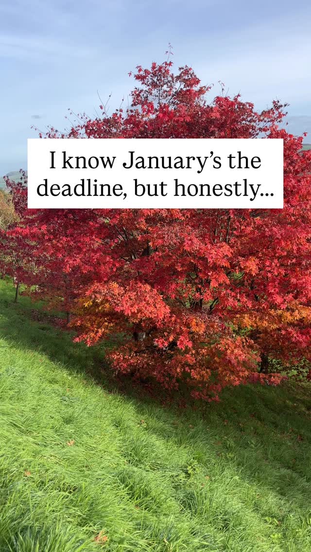 Because:
• Bookkeepers and Accountants are usually fully booked
• HMRC helplines are really busy
• Your Christmas budget takes the hit
• It can be stressful when the deadline is fast approaching
Be your future friend:
✅ You know what you owe
✅ You can plan and budget
✅ You can go into December feeling clear and in control #bookkeeperinsurrey #bookkeeperinsurrey #bookkeepingtips