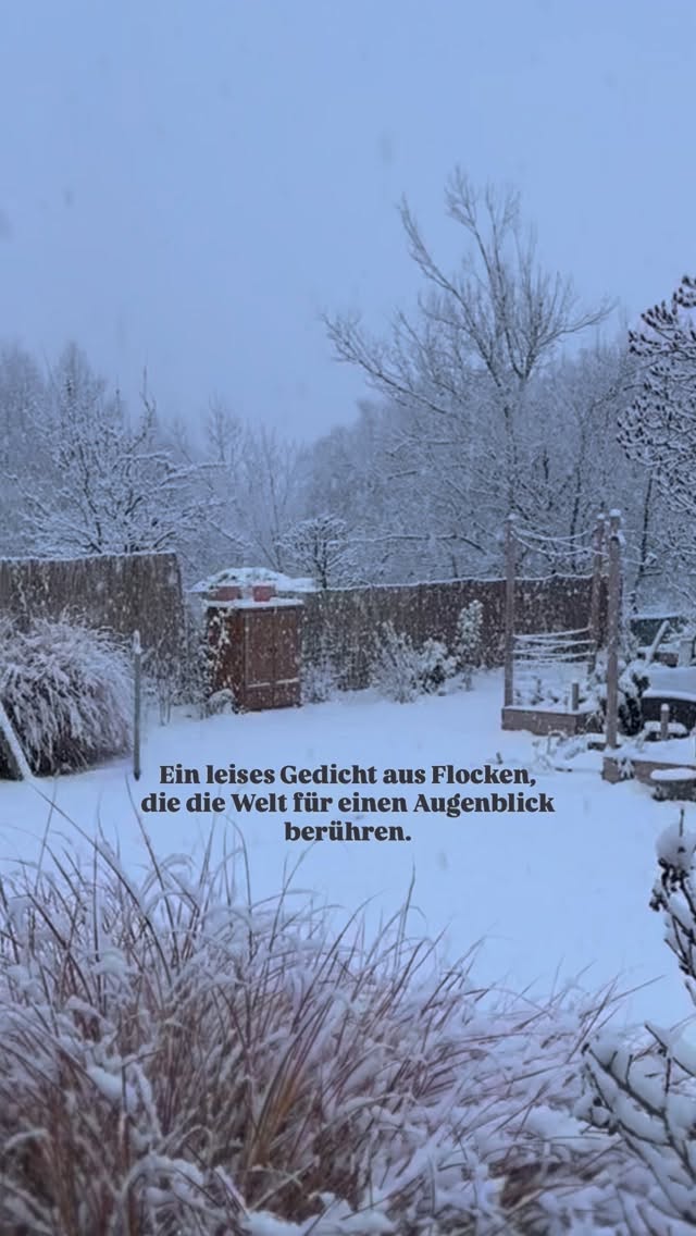 Dive into the season ✨🌨️☃️🎄🤍