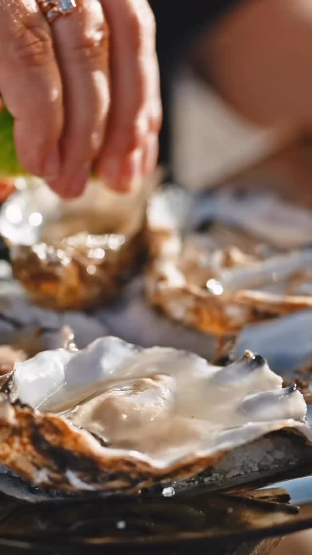 Back again because one post wasn’t enough. These oysters slapped me into a sequel 🦪🎬
#oysters #pearl #seafood #ocean #love #island #salty #steakation #butcher #local #foodie #shop #bvi #fresh #feast #friends #gathering #together #celebrate #fresh #sea #season