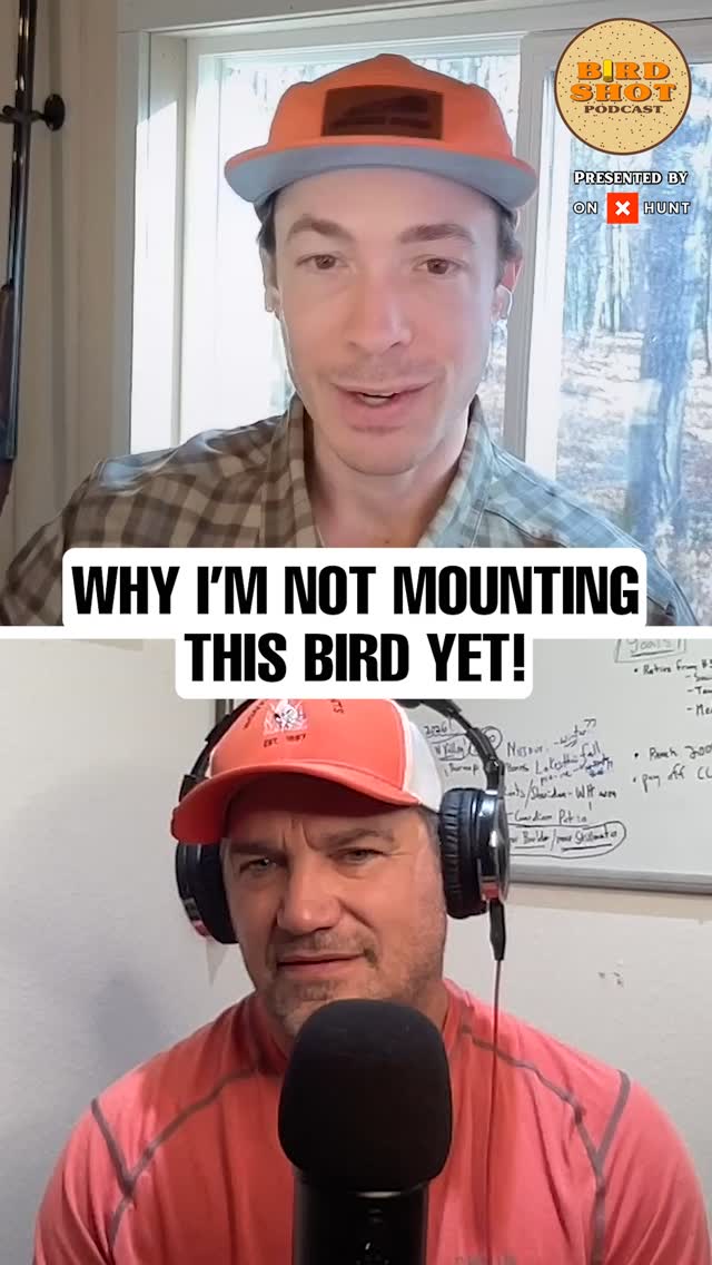 Almost one for the wall!
In this episode of The Birdshot Podcast, host @nilarson13 chats with guest Jimmy Lewis about his 11-year-old setter Hartley, a grey-phase grouse, and a shot that almost sealed the deal on a memory mount.
🎧 Listen to the full episode, link in bio
#BirdDogs #UplandHunting #HuntingMemories #RuffedGrouse #OldDogsNewBirds #HuntingTradition #BirdshotPodcast #GrouseHunting #TailFanTrophy #BirdDogBond #HuntingWithHeart